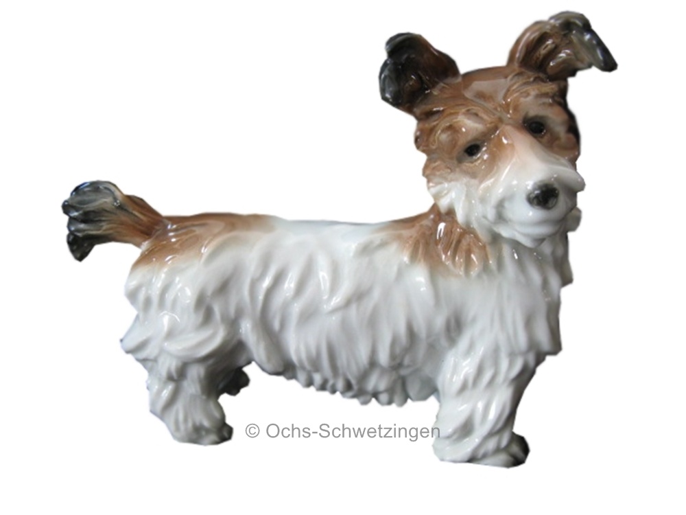 Hund  Yorkshire Terrier - Porzellan Volksstädt -  Breite ca. 14,5 cm