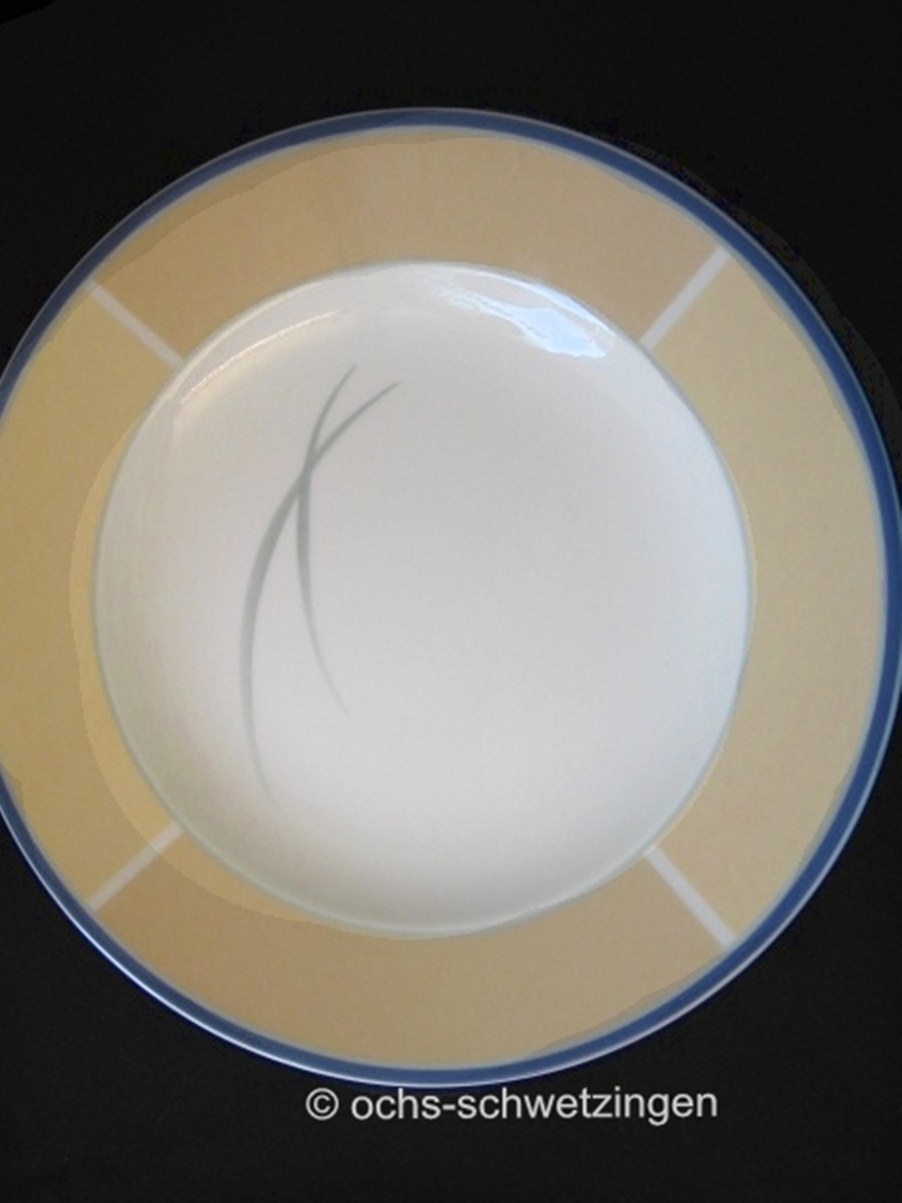 Villeroy & Boch  Suppen- Teller flach easy 27 cm ( 4)