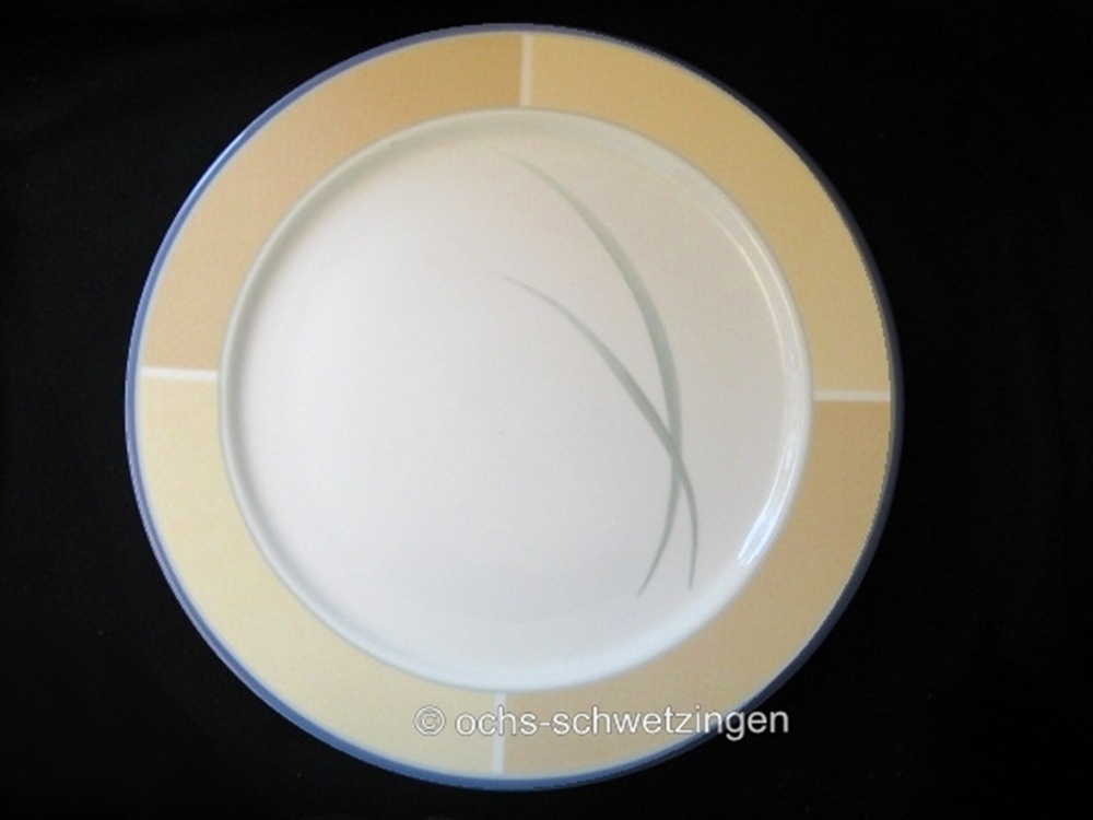 Villeroy & Boch  Platz - Teller flach easy 32 cm ( 2)