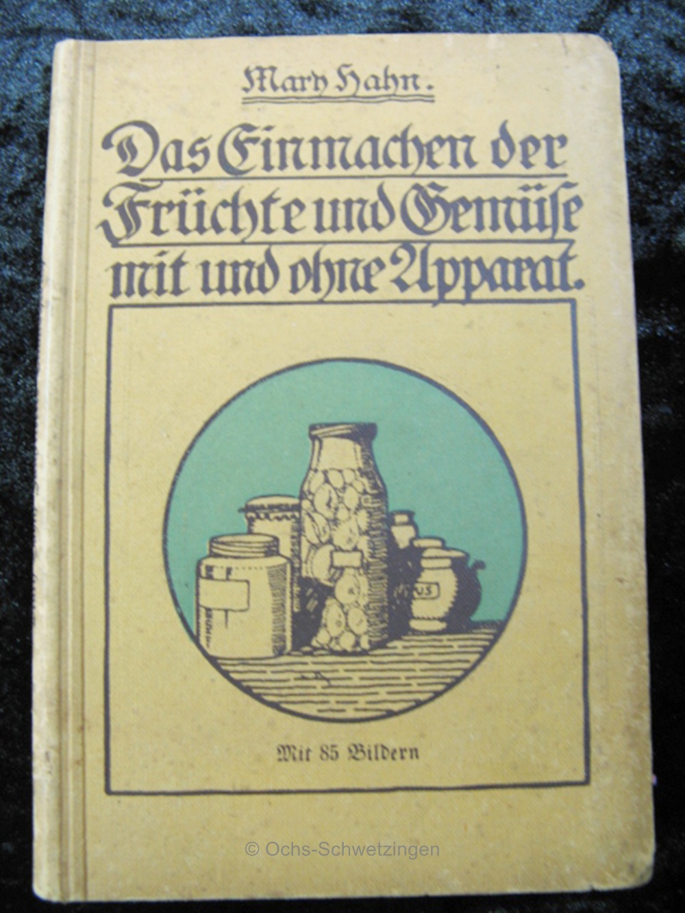 Kochbuch: Das Einmachen der Früchte + Gemüse mit + ohne Apparat um 1910 (B13)