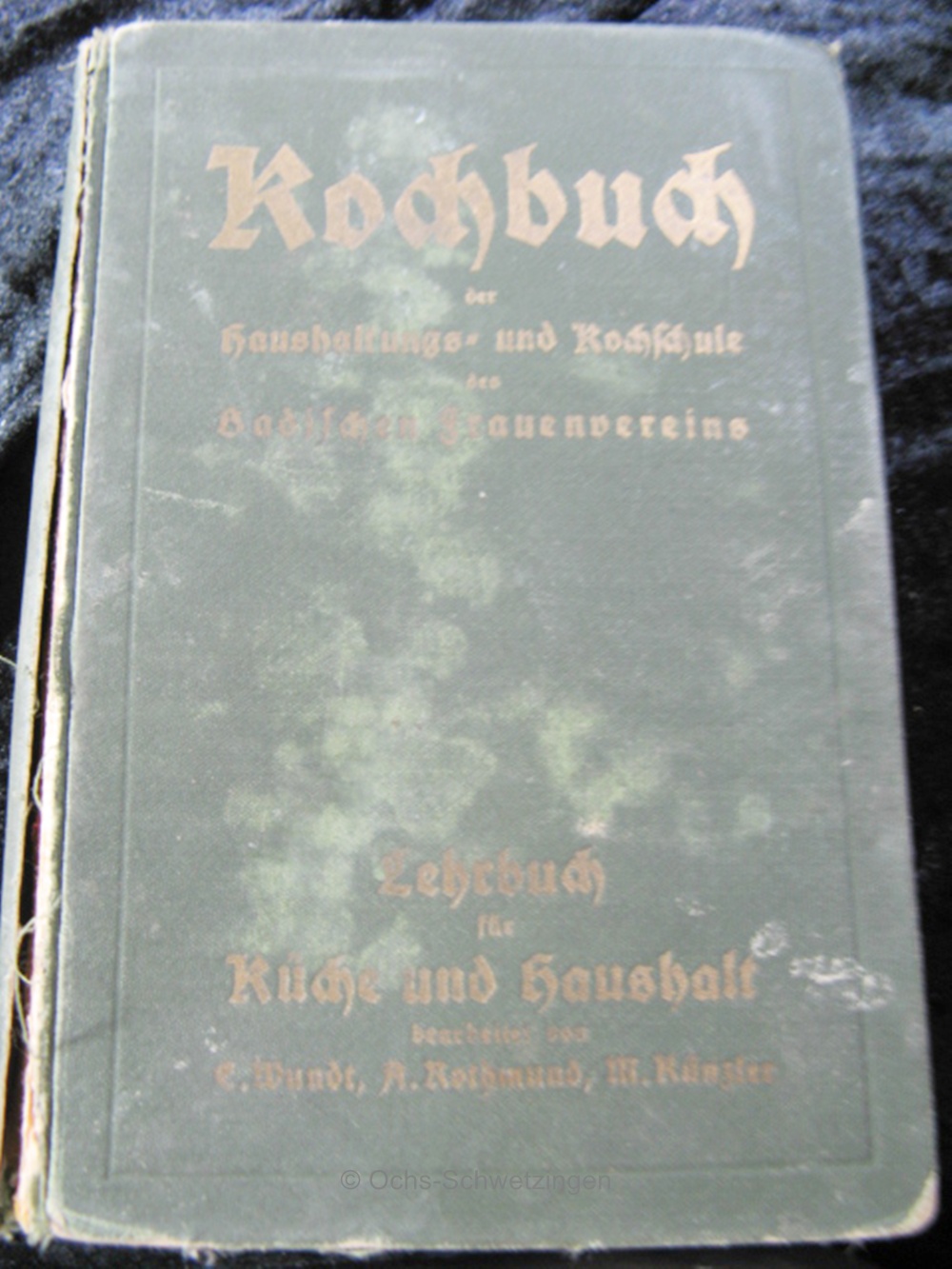 Kochbuch der Haushalts -und Kochschule des badischen Frauenvereins von 1924(B16)