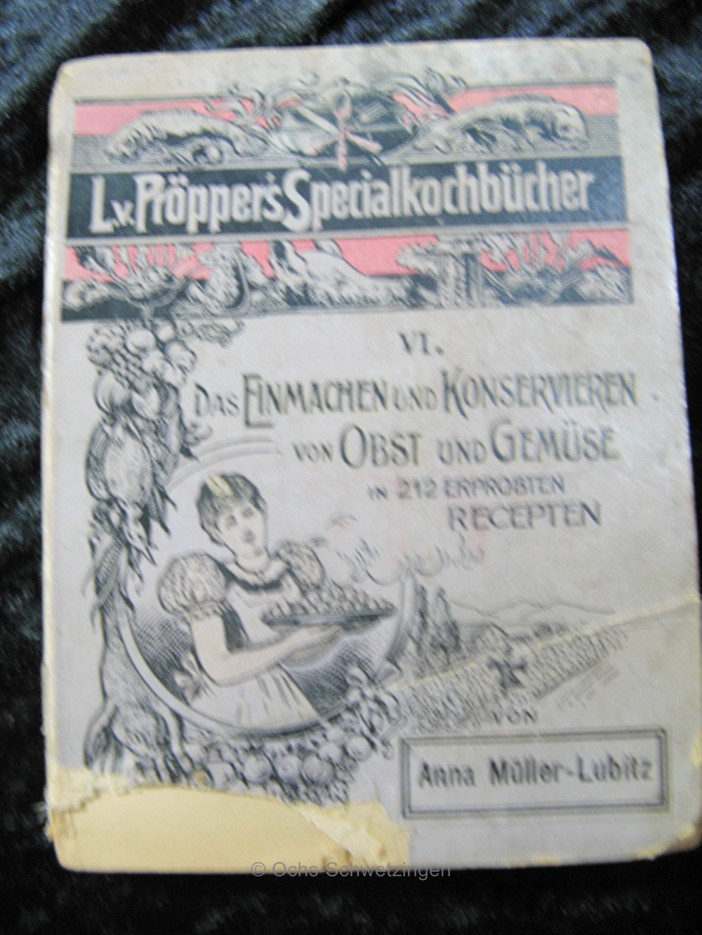 Kochbuch: das Einmachen und Konservieren von Obst und Gemüse von ca.1900 (B25)